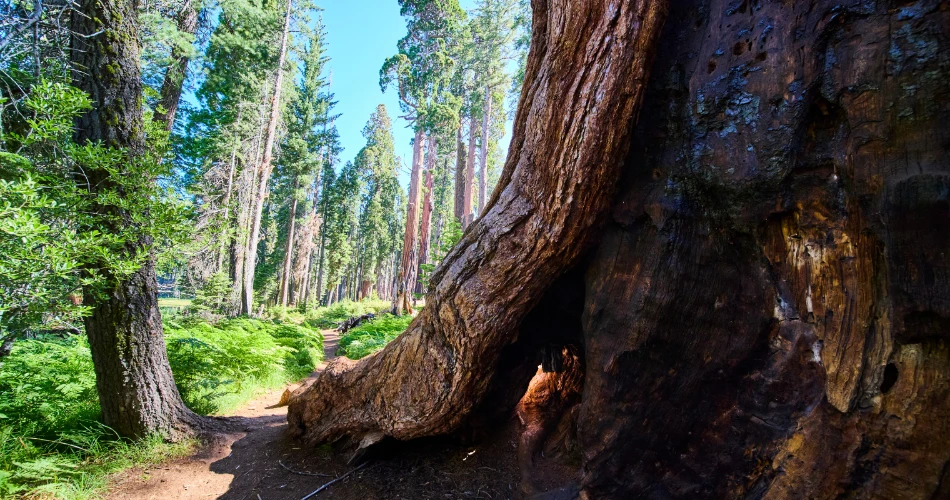 Budget-Friendly Outdoor Adventures in Eureka, United States