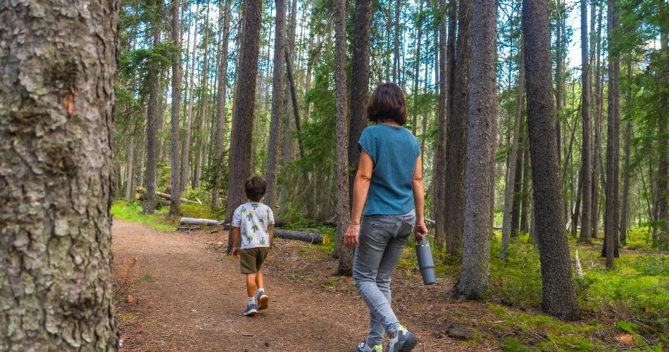 Family-Friendly Attractions in Eureka, United States You Shouldn’t Miss