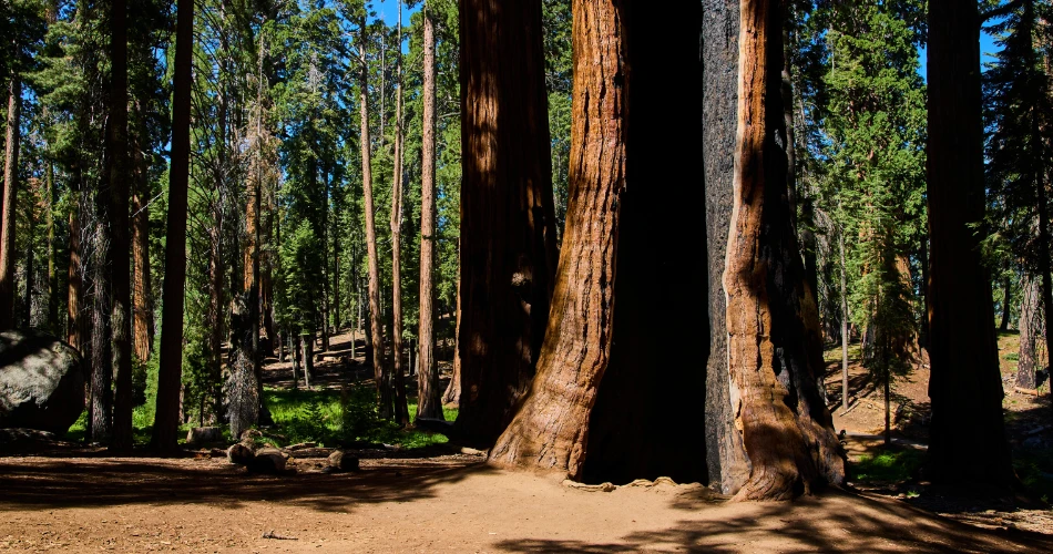 Best Things to Do in Eureka, United States for First-Time Visitors